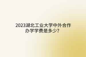 2023湖北工業(yè)大學(xué)中外合作辦學(xué)學(xué)費(fèi)是多少？