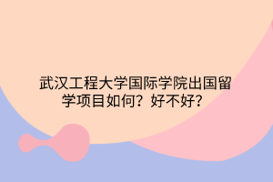 武漢工程大學(xué)國際學(xué)院出國留學(xué)項目如何？好不好？