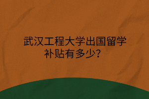 武漢工程大學(xué)出國(guó)留學(xué)補(bǔ)貼有多少？
