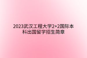 2023武漢工程大學(xué)2+2國際本科出國留學(xué)招生簡(jiǎn)章
