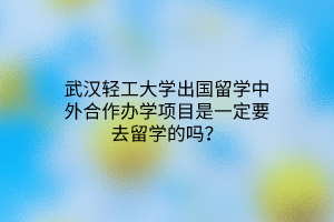 武漢輕工大學出國留學中外合作辦學項目是一定要去留學的嗎？