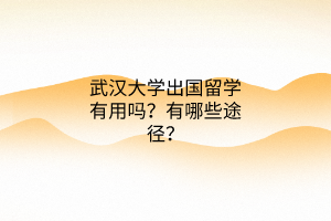 武漢大學(xué)出國留學(xué)有用嗎？有哪些途徑？
