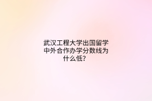 武漢工程大學(xué)出國留學(xué)中外合作辦學(xué)分?jǐn)?shù)線為什么低？