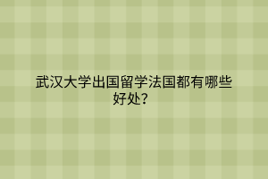 武漢大學(xué)出國(guó)留學(xué)法國(guó)都有哪些好處？
