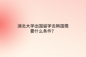 湖北大學(xué)出國(guó)留學(xué)去韓國(guó)需要什么條件？