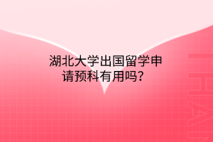 湖北大學(xué)出國留學(xué)申請預(yù)科有用嗎？