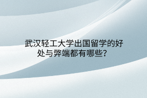 武漢輕工大學出國留學的好處與弊端都有哪些？