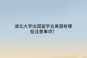 湖北大學(xué)出國留學(xué)去美國有哪些注意事項？
