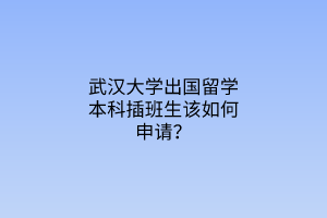 武漢大學(xué)出國留學(xué)本科插班生該如何申請？