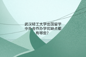 武漢輕工大學出國留學中外合作辦學優(yōu)缺點都有哪些？