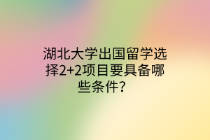 湖北大學(xué)出國留學(xué)選擇2+2項目要具備哪些條件？