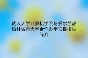 武漢大學(xué)計算機學(xué)院與愛爾蘭都柏林城市大學(xué)合作辦學(xué)項目招生簡介