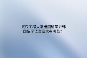 武漢工程大學(xué)出國留學(xué)去韓國留學(xué)語言要求有哪些？