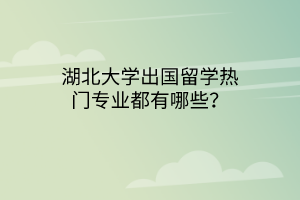 湖北大學(xué)出國留學(xué)熱門專業(yè)都有哪些？