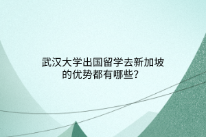 武漢大學(xué)出國留學(xué)去新加坡的優(yōu)勢都有哪些？