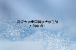 武漢大學(xué)出國留學(xué)大學(xué)生該如何申請(qǐng)？