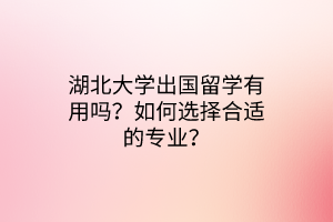 湖北大學(xué)出國(guó)留學(xué)有用嗎？如何選擇合適的專業(yè)？