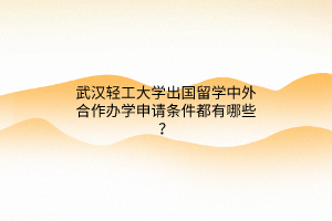 武漢輕工大學(xué)出國留學(xué)中外合作辦學(xué)申請條件都有哪些？