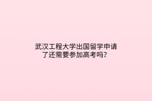 武漢工程大學(xué)出國留學(xué)申請了還需要參加高考嗎？