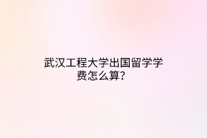 武漢工程大學(xué)出國(guó)留學(xué)學(xué)費(fèi)怎么算？
