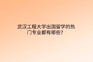 武漢工程大學(xué)出國留學(xué)的熱門專業(yè)都有哪些？