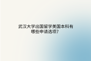 武漢大學出國留學美國本科有哪些申請選項？