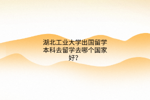 湖北工業(yè)大學(xué)出國留學(xué)本科去留學(xué)去哪個(gè)國家好？
