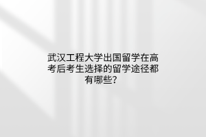 武漢工程大學出國留學在高考后考生選擇的留學途徑都有哪些？