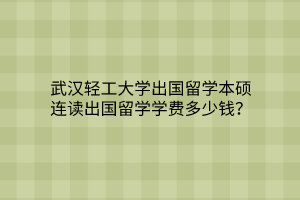 武漢輕工大學(xué)出國留學(xué)本碩連讀出國留學(xué)學(xué)費(fèi)多少錢？