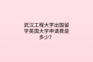 武漢工程大學(xué)出國留學(xué)英國大學(xué)申請費是多少？