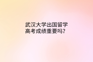 武漢大學(xué)出國留學(xué)高考成績重要嗎？