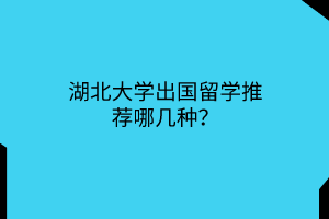 湖北大學(xué)出國(guó)留學(xué)推薦哪幾種？