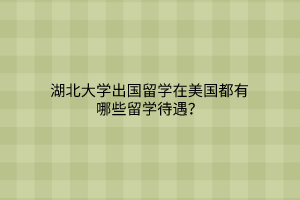 湖北大學(xué)出國(guó)留學(xué)在美國(guó)都有哪些留學(xué)待遇？