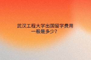 武漢工程大學(xué)出國留學(xué)費用一般是多少？