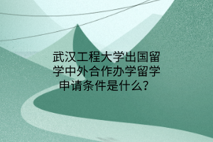 武漢工程大學(xué)出國留學(xué)中外合作辦學(xué)留學(xué)申請條件是什么？