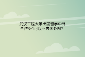 武漢工程大學(xué)出國留學(xué)中外合作3+1可以不去國外嗎？