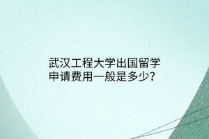 武漢工程大學出國留學申請費用一般是多少？