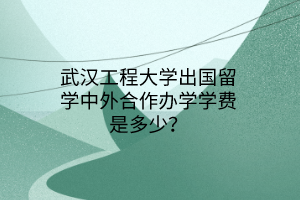 武漢工程大學(xué)出國(guó)留學(xué)中外合作辦學(xué)學(xué)費(fèi)是多少？