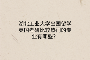 湖北工業(yè)大學(xué)出國留學(xué)英國考研比較熱門的專業(yè)有哪些？