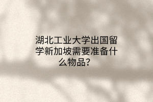 湖北工業(yè)大學(xué)出國留學(xué)新加坡需要準(zhǔn)備什么物品？