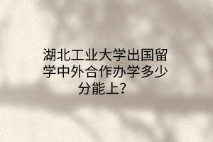 湖北工業(yè)大學(xué)出國(guó)留學(xué)中外合作辦學(xué)多少分能上？