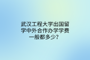 武漢工程大學出國留學中外合作辦學學費一般都多少？