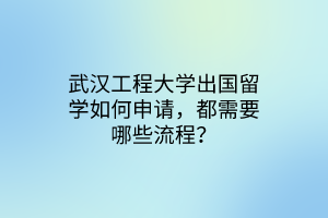武漢工程大學(xué)出國留學(xué)如何申請，都需要哪些流程？