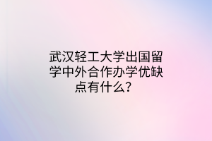 武漢輕工大學(xué)出國留學(xué)中外合作辦學(xué)優(yōu)缺點有什么？