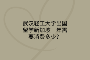 武漢輕工大學(xué)出國(guó)留學(xué)新加坡一年需要消費(fèi)多少？