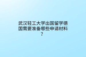 武漢輕工大學出國留學德國需要準備哪些申請材料？