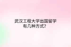 武漢工程大學(xué)出國(guó)留學(xué)有幾種方式？