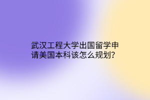 武漢工程大學(xué)出國留學(xué)申請美國本科該怎么規(guī)劃？