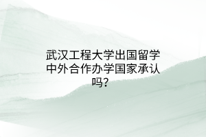 武漢工程大學出國留學中外合作辦學國家承認嗎？