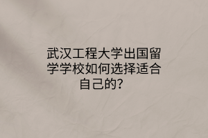 武漢工程大學出國留學學校如何選擇適合自己的？